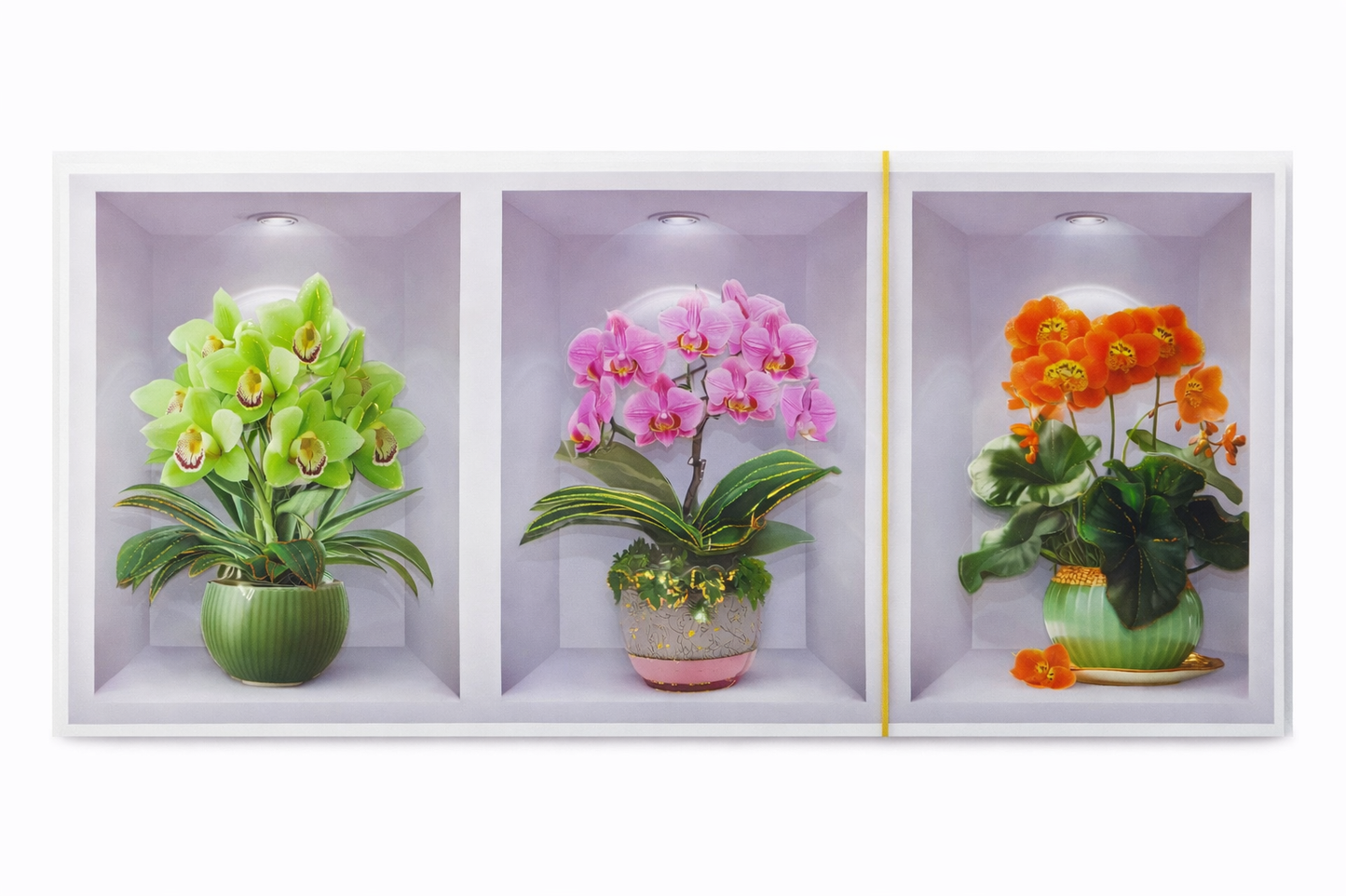 Hyper Relistic 3D Wall Sticker 3Pieces